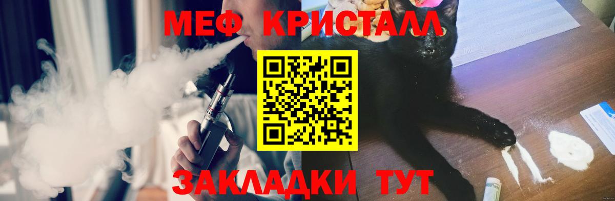МЕФ  Дмитров