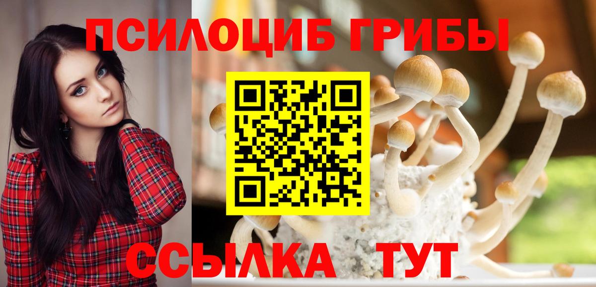 Галлюциногенные грибы Psilocybine cubensis  Вход с VPN  Дмитров  Псилоцибиновые грибы Magic Shrooms 