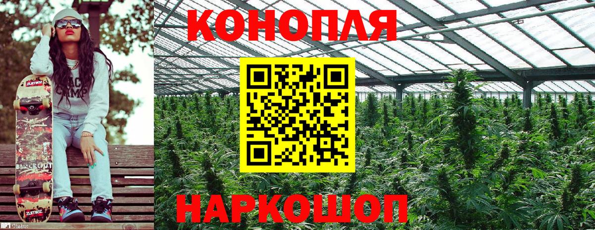 Канабис тримм  Шишки марихуана Bruce Banner  Вход с VPN  Дмитров 